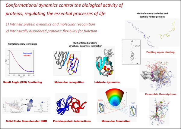 Different approaches for interpretation of dynamic NMR data were discussed. In addition, Dr. Blackledge gave insight into ongoing research projects in his group. 